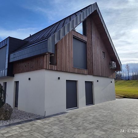 Appartement Lucka Bled Quiet Location, Free Bikes, Big Garden, Doctor Extérieur photo