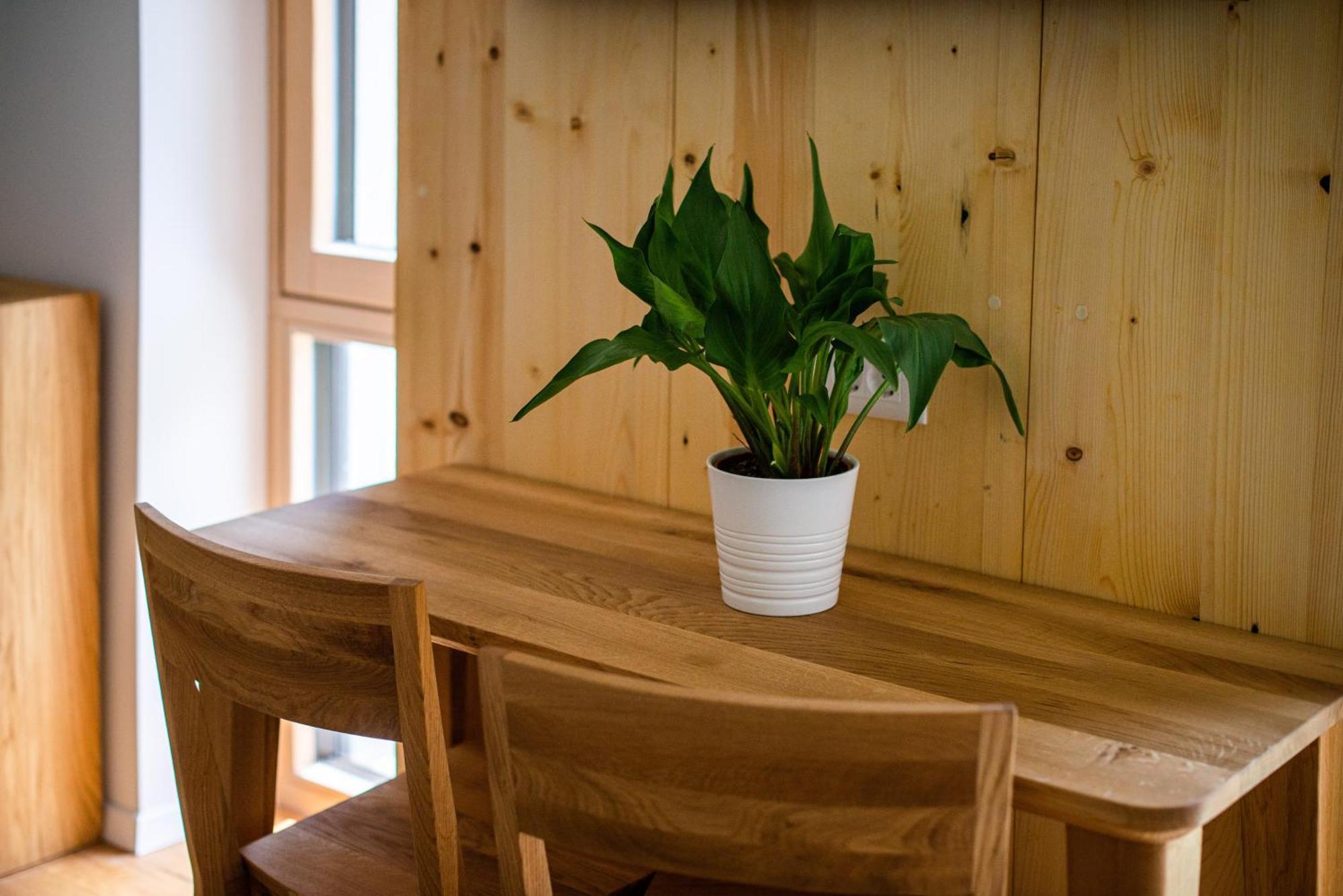 Appartement Lucka Bled Quiet Location, Free Bikes, Big Garden, Doctor Extérieur photo