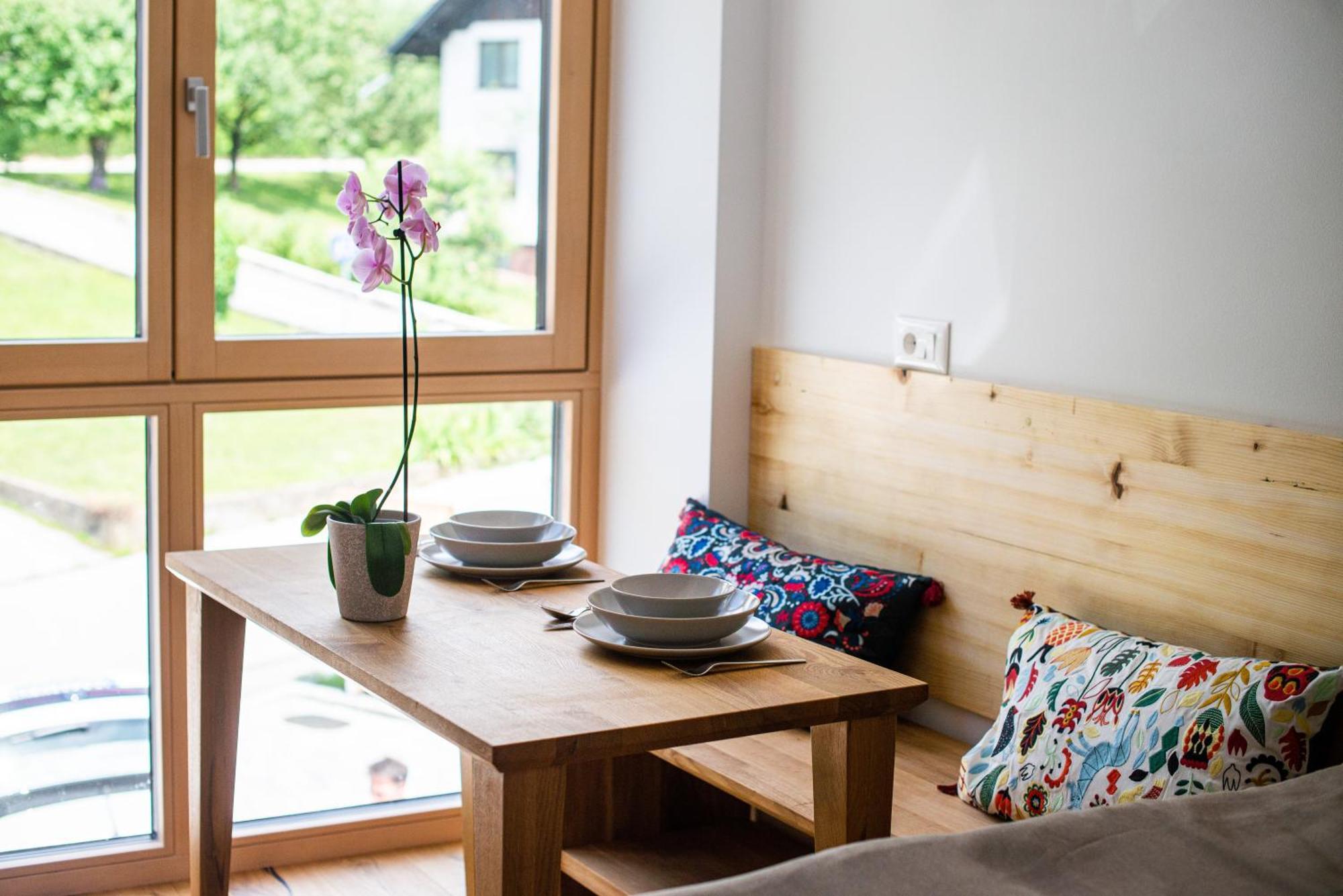 Appartement Lucka Bled Quiet Location, Free Bikes, Big Garden, Doctor Extérieur photo